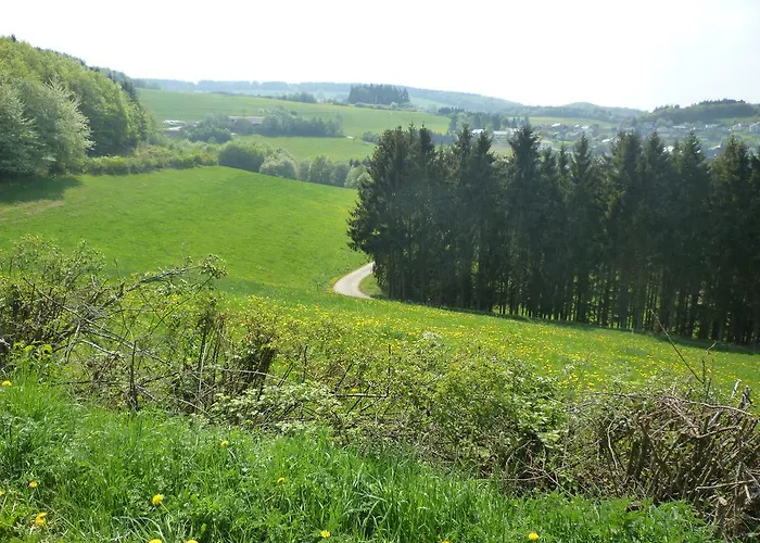 Апартаменты Juettis *